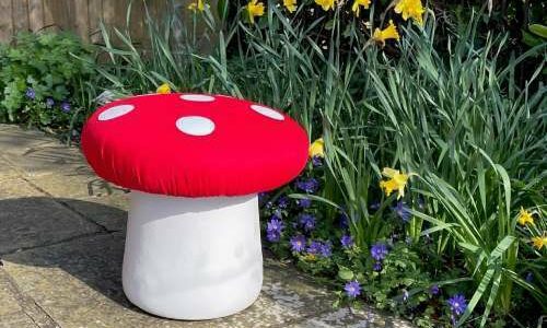 Toadstool Lifestyle med